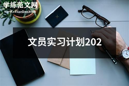 文员实习计划202