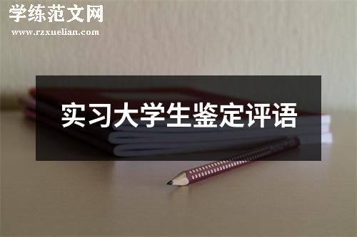 实习大学生鉴定评语