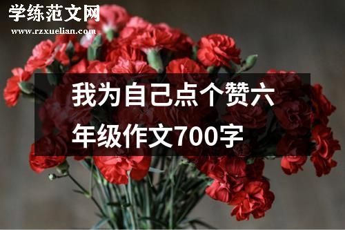 我为自己点个赞六年级作文700字