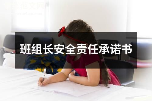 班组长安全责任承诺书