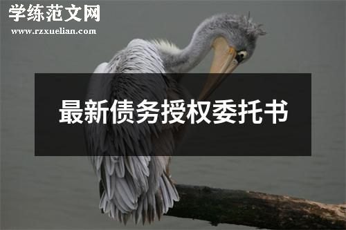 最新债务授权委托书