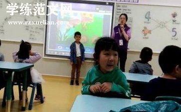教研员年终述职报告8篇