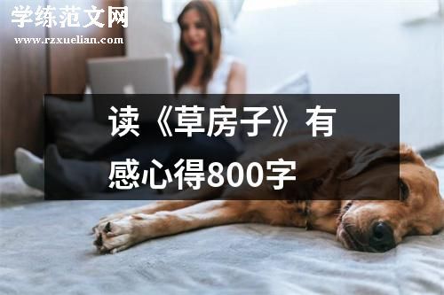 读《草房子》有感心得800字