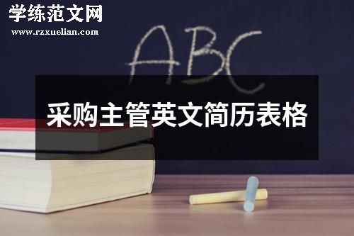 采购主管英文简历表格