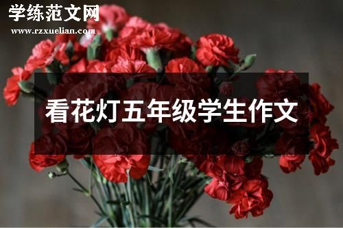 看花灯五年级学生作文