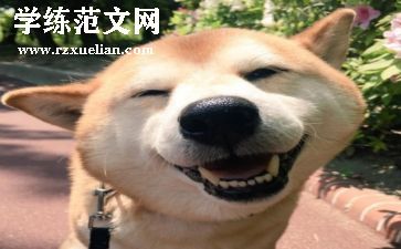 幼儿园小班教案音乐反思6篇