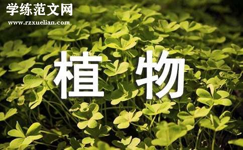 二年级上册《植物妈妈有办法》教案