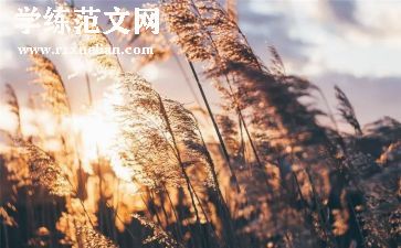 三国演义的,心得体会5篇