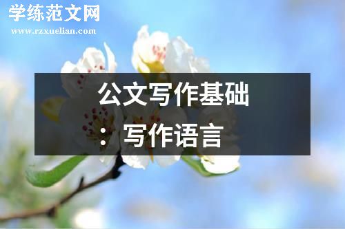 公文写作基础:写作语言