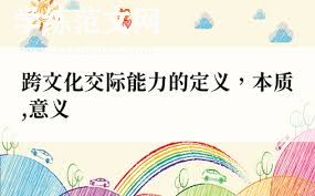 个人工作总结——跨文化合作与国际化视野的拓展