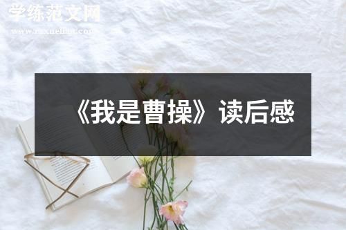 《我是曹操》读后感