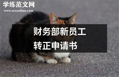 财务部新员工转正申请书
