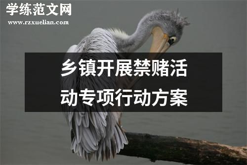 乡镇开展禁赌活动专项行动方案