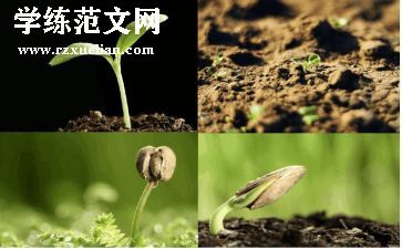 种子的旅行教案8篇