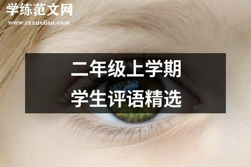 二年级上学期学生评语精选