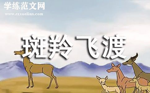 《斑羚飞渡》读后感