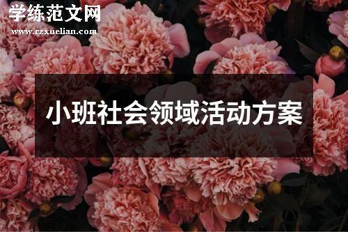 小班社会领域活动方案