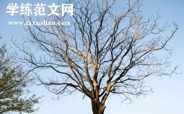 植树活动总结报告7篇