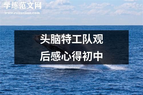 头脑特工队观后感心得初中