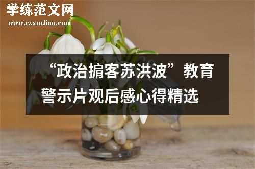 “政治掮客苏洪波”教育警示片观后感心得精选