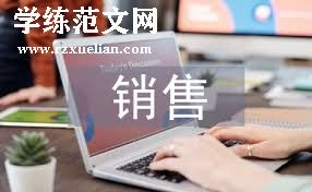 市场营销策划与执行个人工作总结
