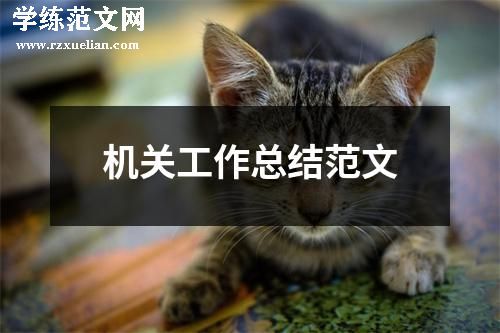 机关工作总结范文