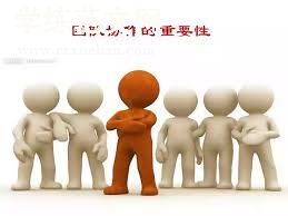 团队合作与协作：个人工作总结