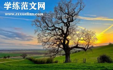 自由主义心得体会5篇