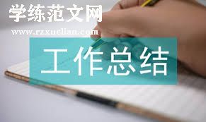 持续学习与适应：个人工作总结