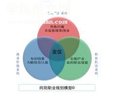 个人总结：职业发展与目标规划