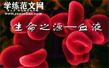 血液科护士工作总结8篇