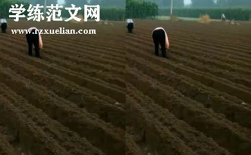 大班播种子教案模板8篇