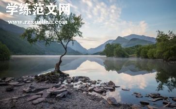 劳动美活动方案最新6篇