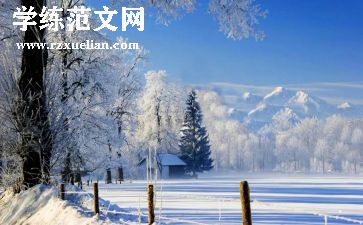 中班美术活动圣诞树教案6篇