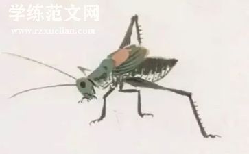 蚂蚁与蝈蝈教案5篇