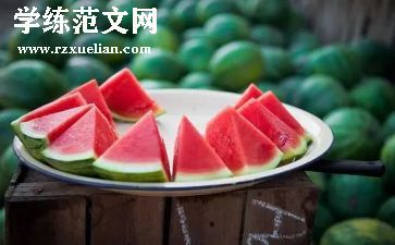 卖西瓜教案模板6篇