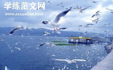 旅游公司活动方案6篇