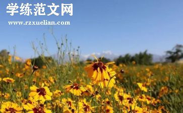 学生学年鉴定个人总结8篇