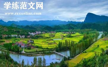 小乌龟美术教案5篇