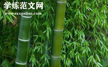 大班体育竹竿舞教案5篇