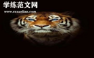 小班小老虎教案6篇