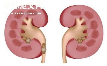 护士肾内科工作总结最新7篇