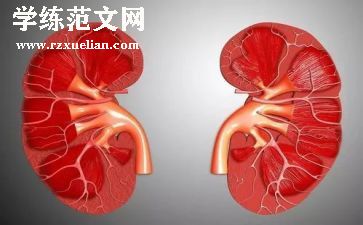 护士肾内科工作总结优质8篇