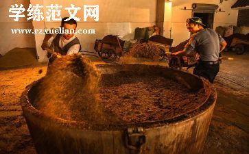 酒店保安工作个人年终总结8篇