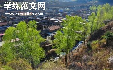 村党支部2024年工作总结范文最新7篇