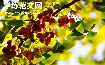 中秋节主题活动方案精选8篇