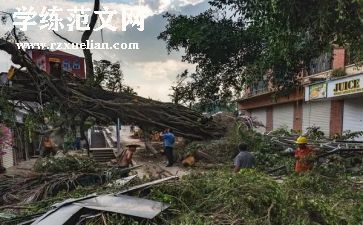 灾后汇报材料5篇