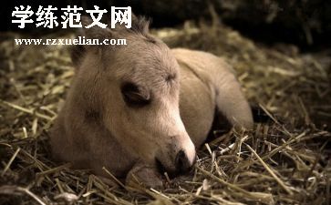 马均事迹材料8篇