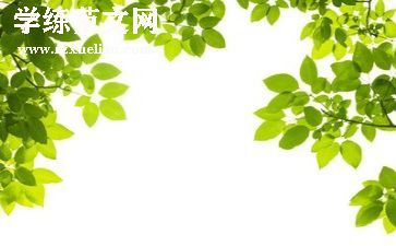环保调查报告最新5篇