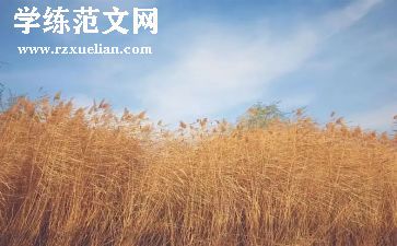 小学教师作风整顿自查报告6篇